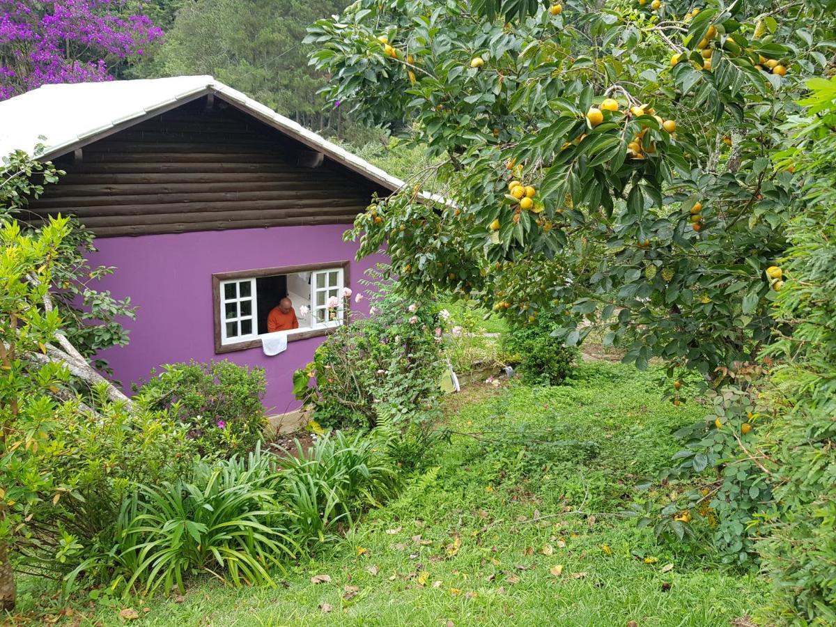 Vale Das Maritacas Teresopolis Villa Exterior foto